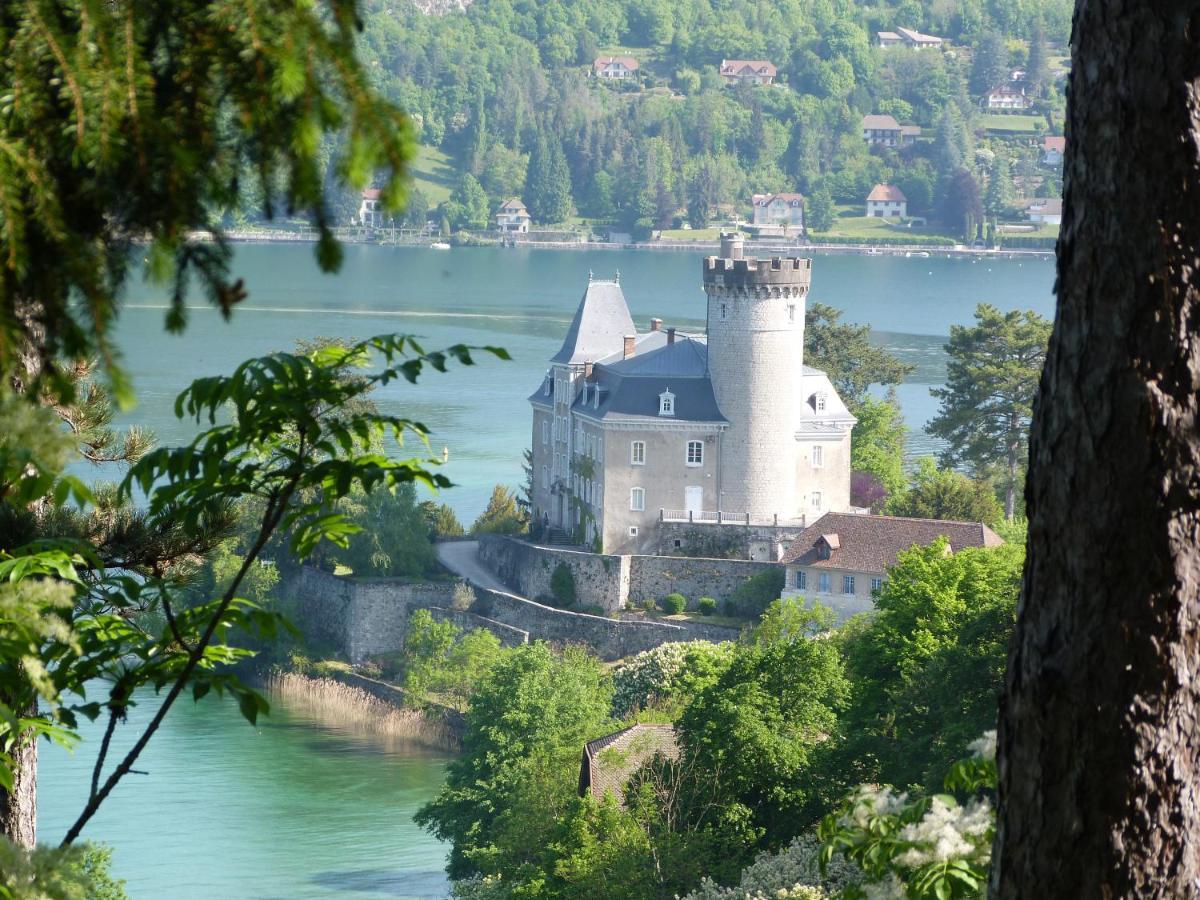 Au Bord Du Lac D'Annecy, Logement Type Loft, Dans Residence Avec Plage Et Ponton Privee Duingt Zewnętrze zdjęcie